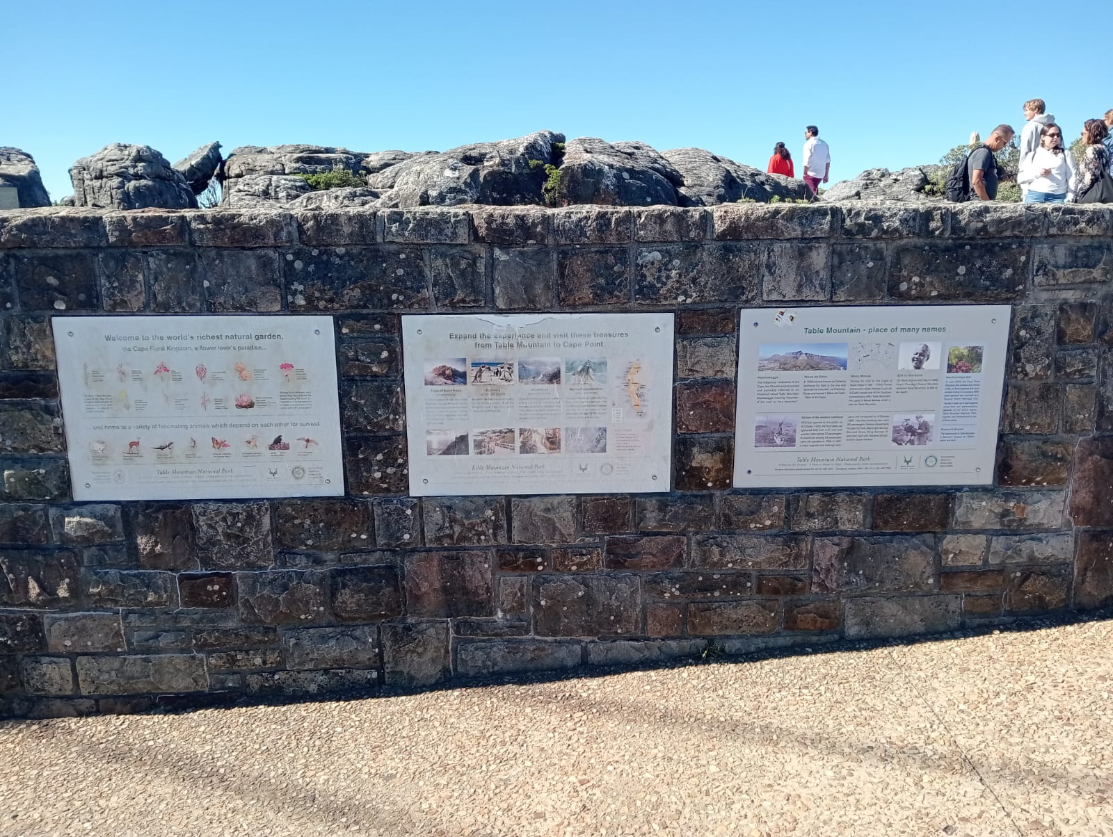 Table Mountain 7